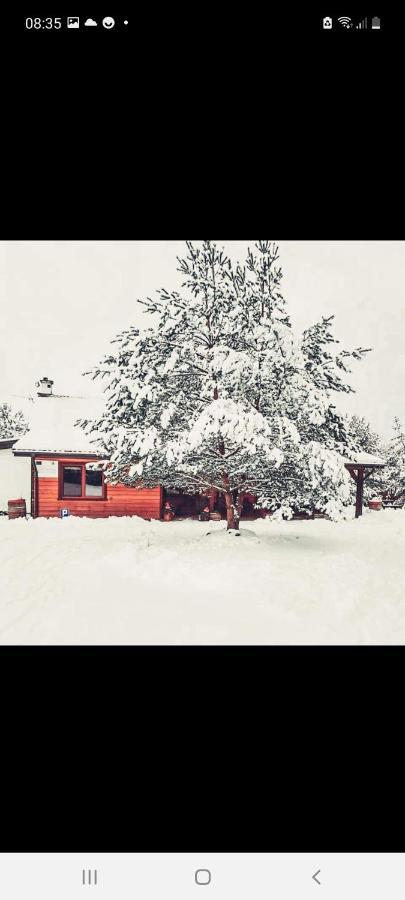 Farmstay Marianowka U Tesi Giby 外观 照片