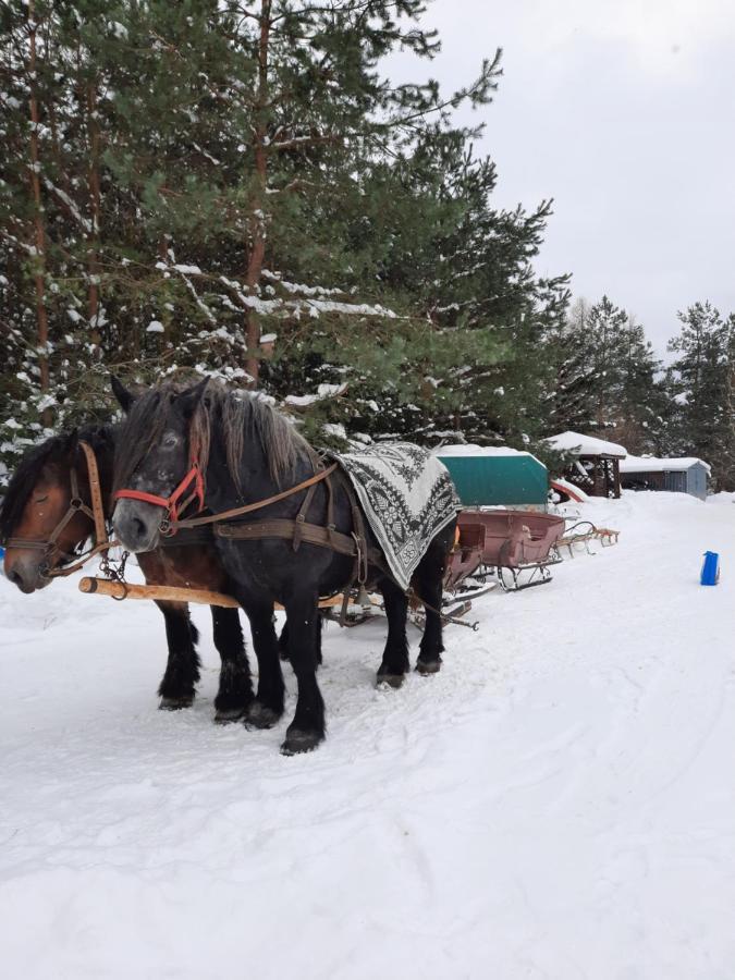 Farmstay Marianowka U Tesi Giby 外观 照片