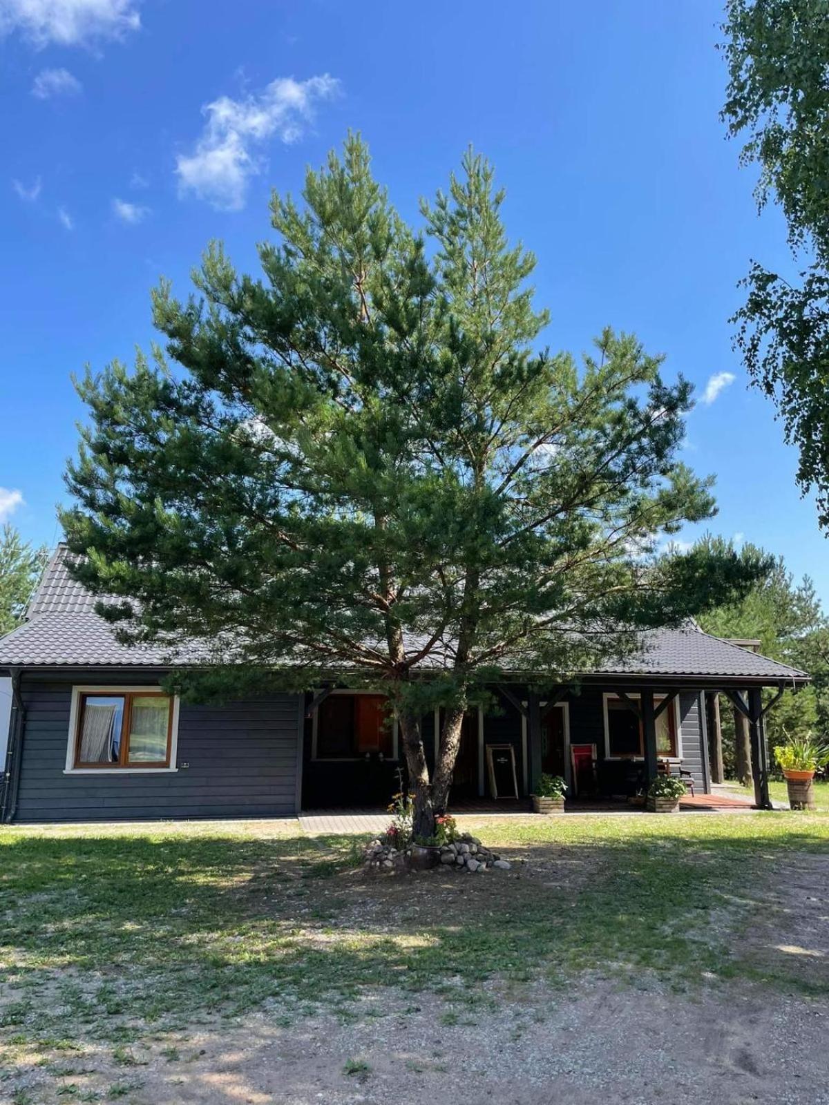 Farmstay Marianowka U Tesi Giby 外观 照片