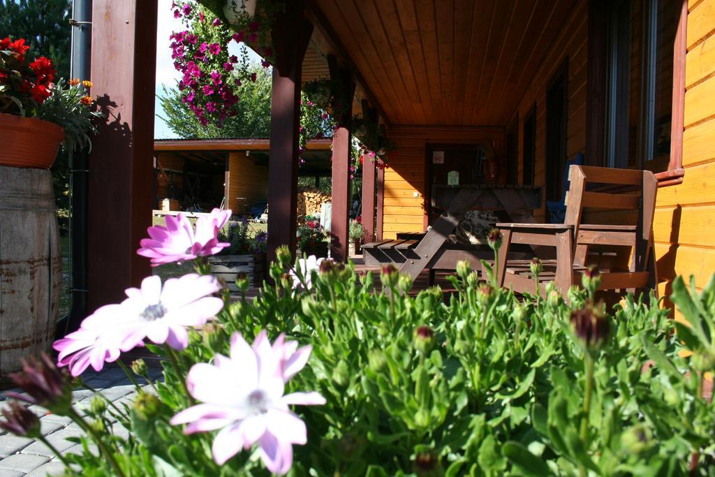 Farmstay Marianowka U Tesi Giby 外观 照片